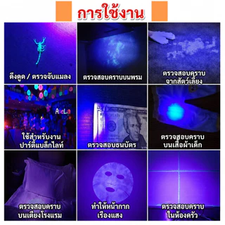 หลอด Blacklight T5 4W 6W 8W 15-30 ซม. หลอดดักยุง หลอดนีออน ดักแมลง แมงดา แมง ตรวจแบงค์ปลอม