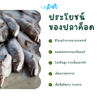 ปลาค็อด Freeze-Dried ฟรีซดราย สุนัขและแมว เกรดพรีเมียม 50g GUMMI BITES