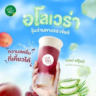 วุ้นอโลเวร่า ว่านหางจระเข้ ในน้ำเชื่อม Aloe Vera in Syrup ท็อปปิ้งสำเร็จรูป ชาผลไม้ ชานมไข่มุก ขนาด 560 กรัม ตรา ทีอีเอ