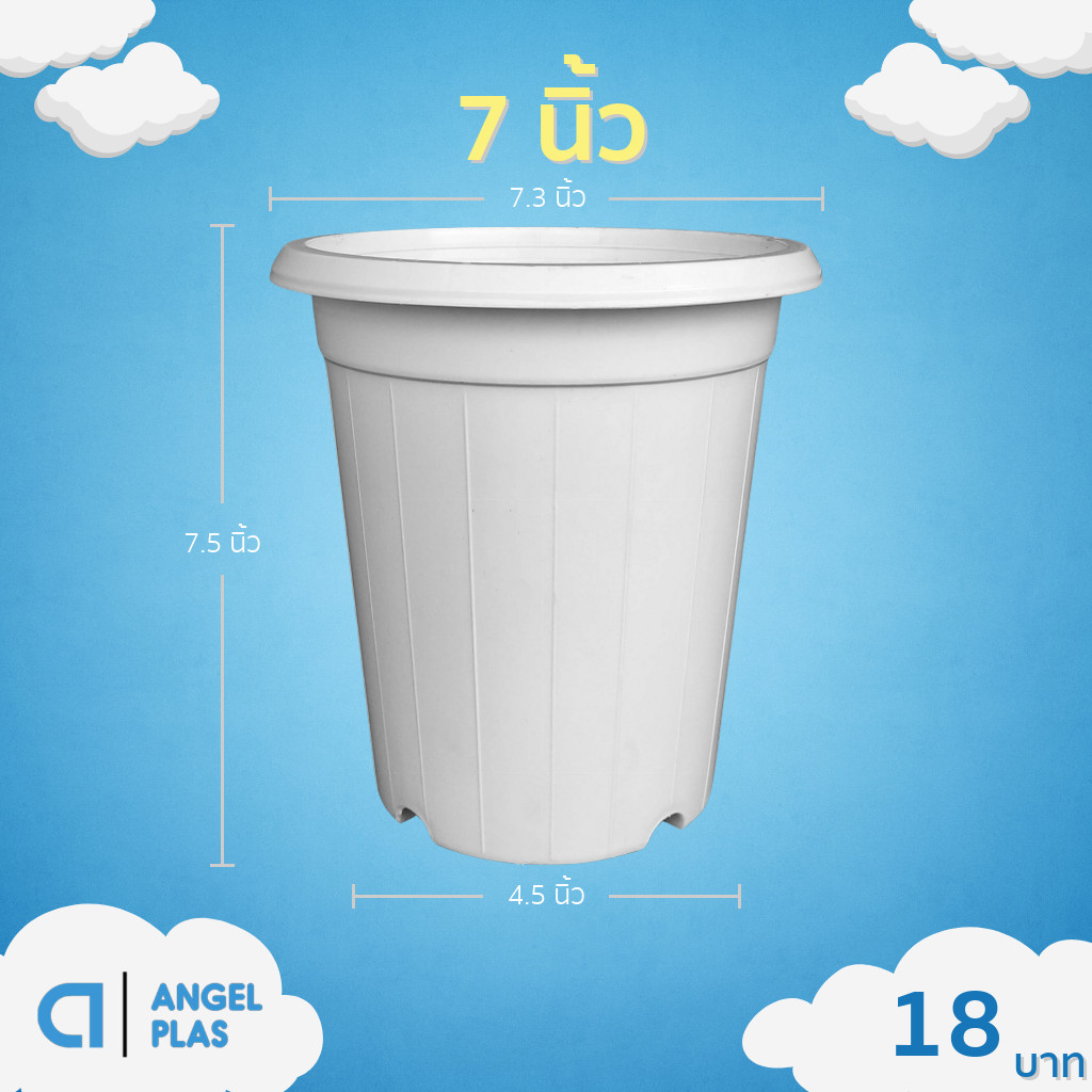 กระถาง แคคตัส ไม้กราฟ ทรงสูง 7 7.3 8 นิ้ว สีขาว ขั้นต่ำ 10 ใบ ชิ้น อัน