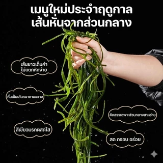 สาหร่ายวากาเมะ อบแห้งอัดก้อน (16 กรัม) แช่น้ำขยายตัวเยอะมาก! สาหร่ายทะเลแท้ แคลอรี่ต่ำ สายคลีนทำซุป ต้มจืด ยำ