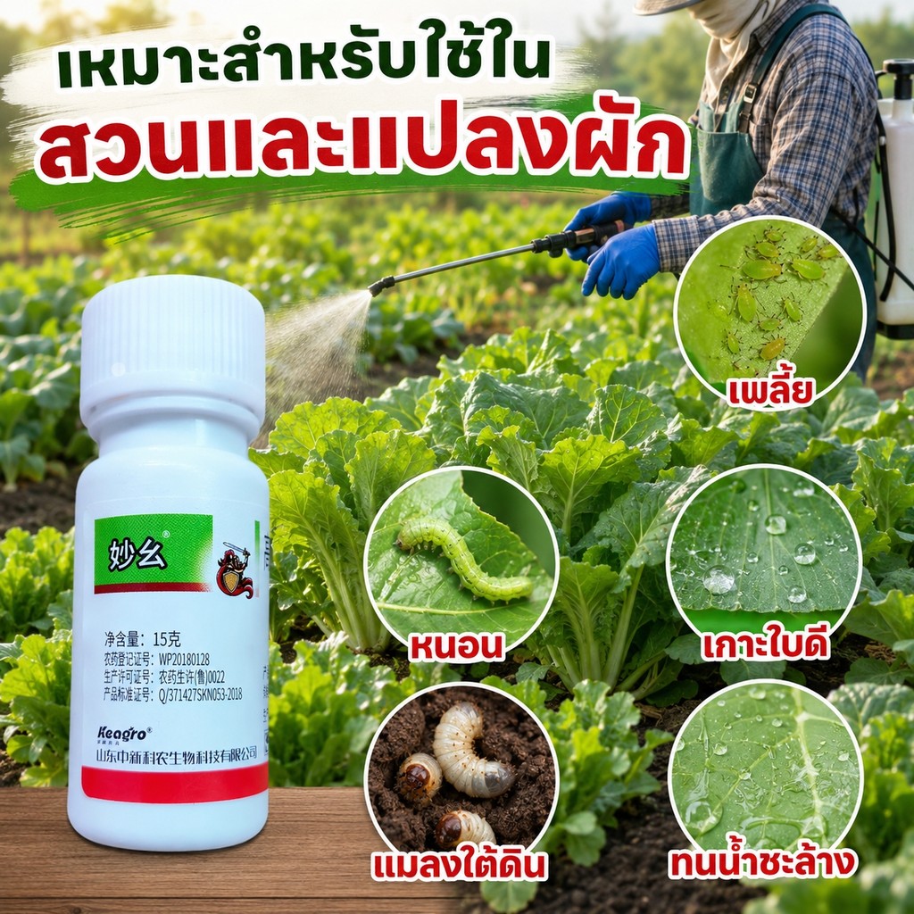 น้ำยาจัดการแมลง 7.5% 15กรัม สูตรผสมน้ำฉีดพ่น รูปที่ 4