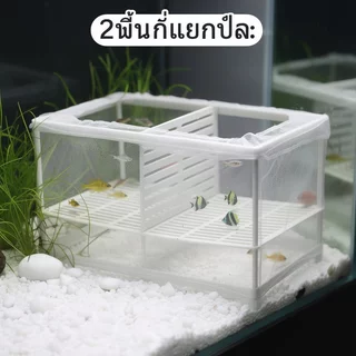 กล่องเพาะปลา กล่องแยกลูกปลา ตู้ฟักไข่ปลา ตาข่ายโปร่งใส สำหรับปลาหางนกยูง ตู้ปลา ใช้งานง่าย