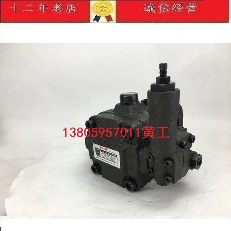 ไต้หวัน ANSON Ansong Leaf Pump VP6F-B2-50S VP6F-B3-50 VP6F-B4-50 B5