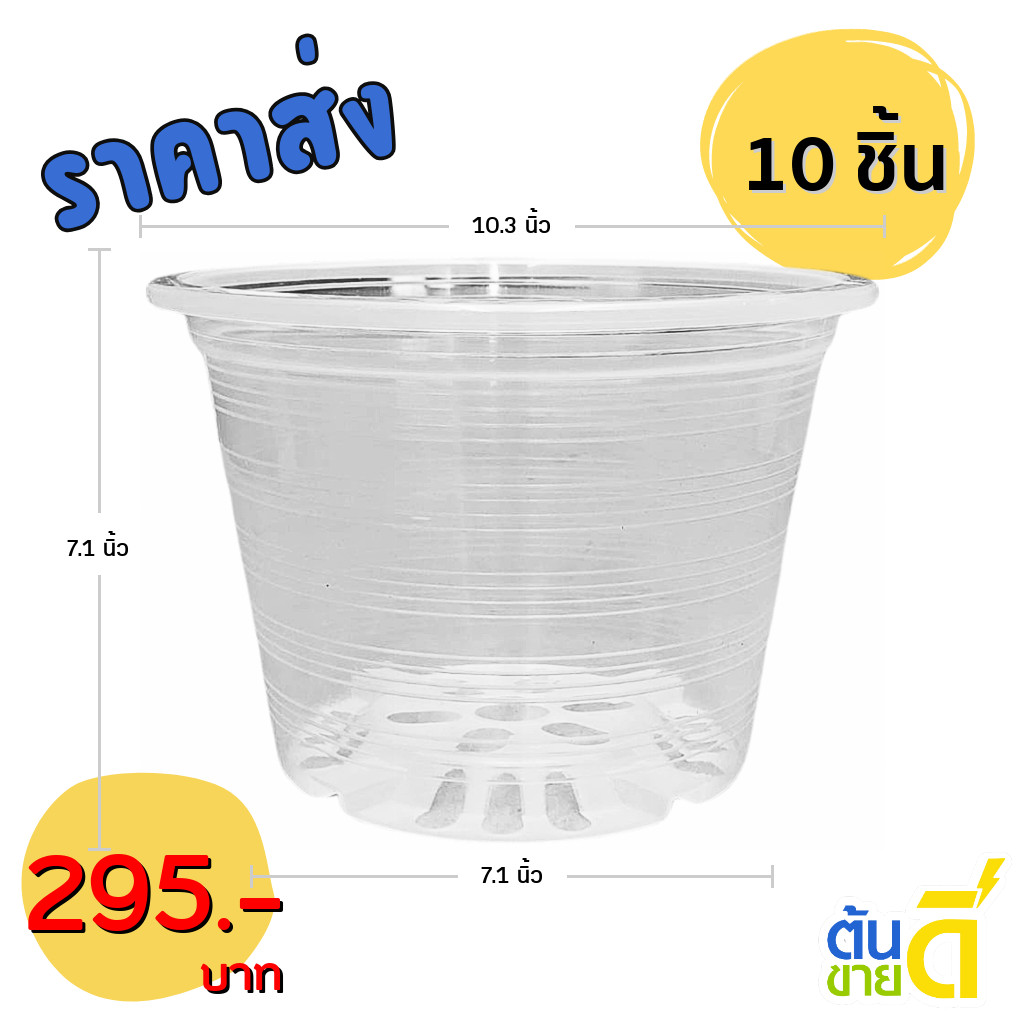 กระถางพลาสติกใส ขนาด10นิ้ว ปากกระถาง10” กระถางใสส่องราก เห็นรากชัดเจน