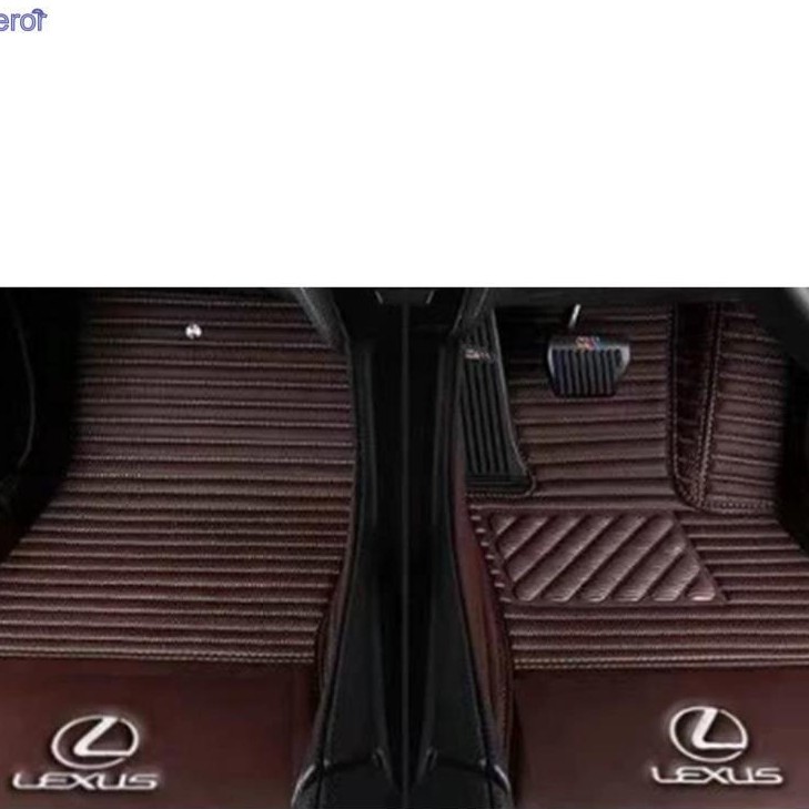 LEXUS Rz450e first row floor mat