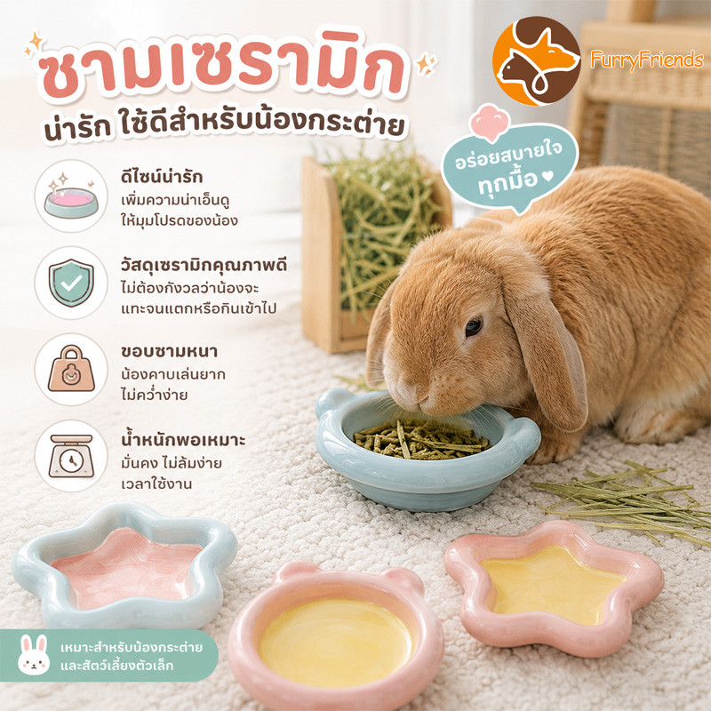ชามกระต่าย ชามอาหารกระต่าย ชามเซรามิค ป้องกันการพลิกคว่ำ เส้นผ่าศูนย์กลางขนาดใหญ่ 15 ซม