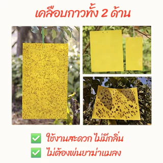 100 ใบ แผ่นกาวดักแมลง (มีกาวในตัว 2ด้าน ) กาวดักแมลงวัน กับดักแมลงกินผัก แมลงทำลายผลผลิต ดักแมลงศั กาวดักแมลงวันทอง