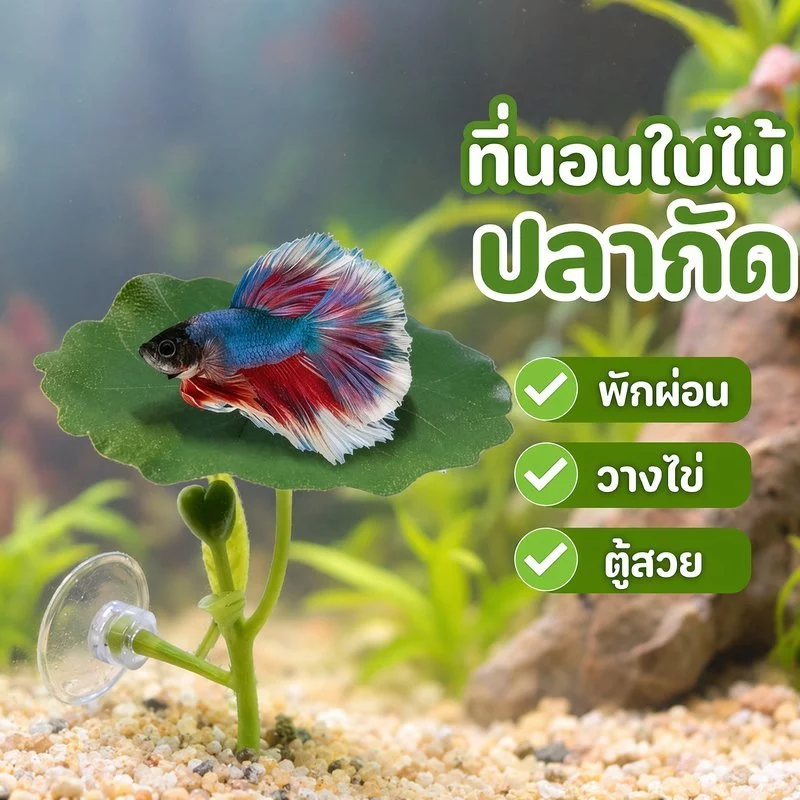 ใบไม้ปลอม ตกแต่งตู้ปลา ใบบัวเทียม ปลากัด ที่พักปลา วางไข่ พืชน้ำเทียม หลบซ่อน ตู้ปลาสวย