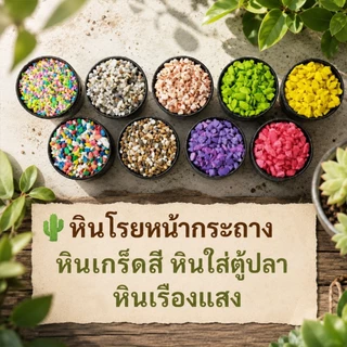 หินโรยหน้ากระถาง หินตกแต่งต้นไม้ หินสี หินกรวด หินเกร็ดสี หินจัดสวน หินใส่ตู้ปลา แคคตัส บอนไซ