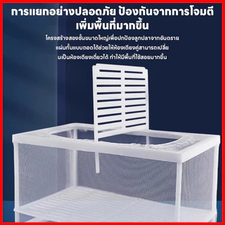 กล่องแยกปลา กล่องแยกเลี้ยงปลา ตาข่ายแยกปลา ฟักไข่ แยกปลาป่วย แยกลูกกุ้ง ปลากัด ลูกปลา ทนทานใช้งานได้ดี