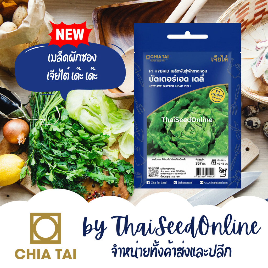 CTSE เมล็ดพันธุ์ ผักกาดหอม บัตเตอร์เฮด เดลี่ 0.5 กรัม ตราเจียไต๋ Butterhead Deli Lettuce