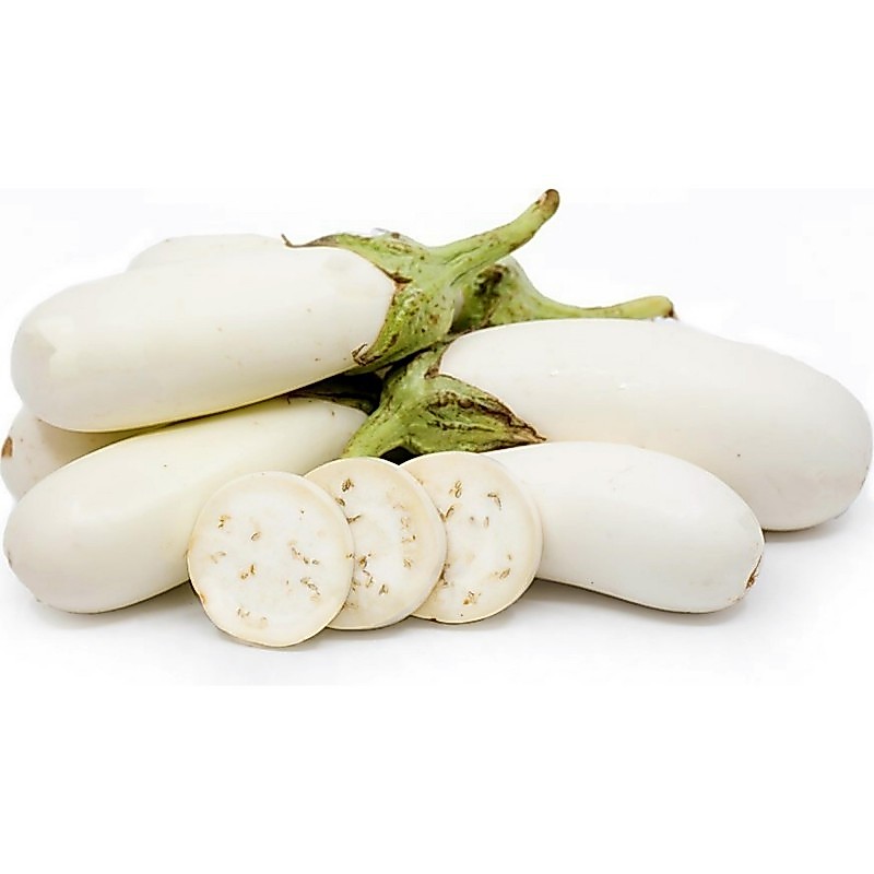 150 เมล็ด เมล็ดมะเขือ Eggplant Seeds สายพันธุ์นอก WHITE EGGPLANT