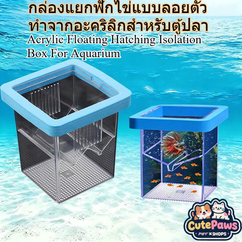 [พร้อมสต็อก] ตู้ฟักไข่ไข่ปลาลอยใส/แขวน
