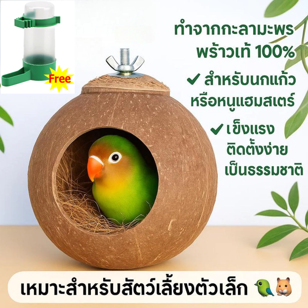 บ้านกะลา บ้านนกแก้ว รังนก ฟอพัส หงษ์หยก เลิฟเบิร์ด ค๊อกคาเทล กรีนชีค มะพร้าวธรรมชาติ