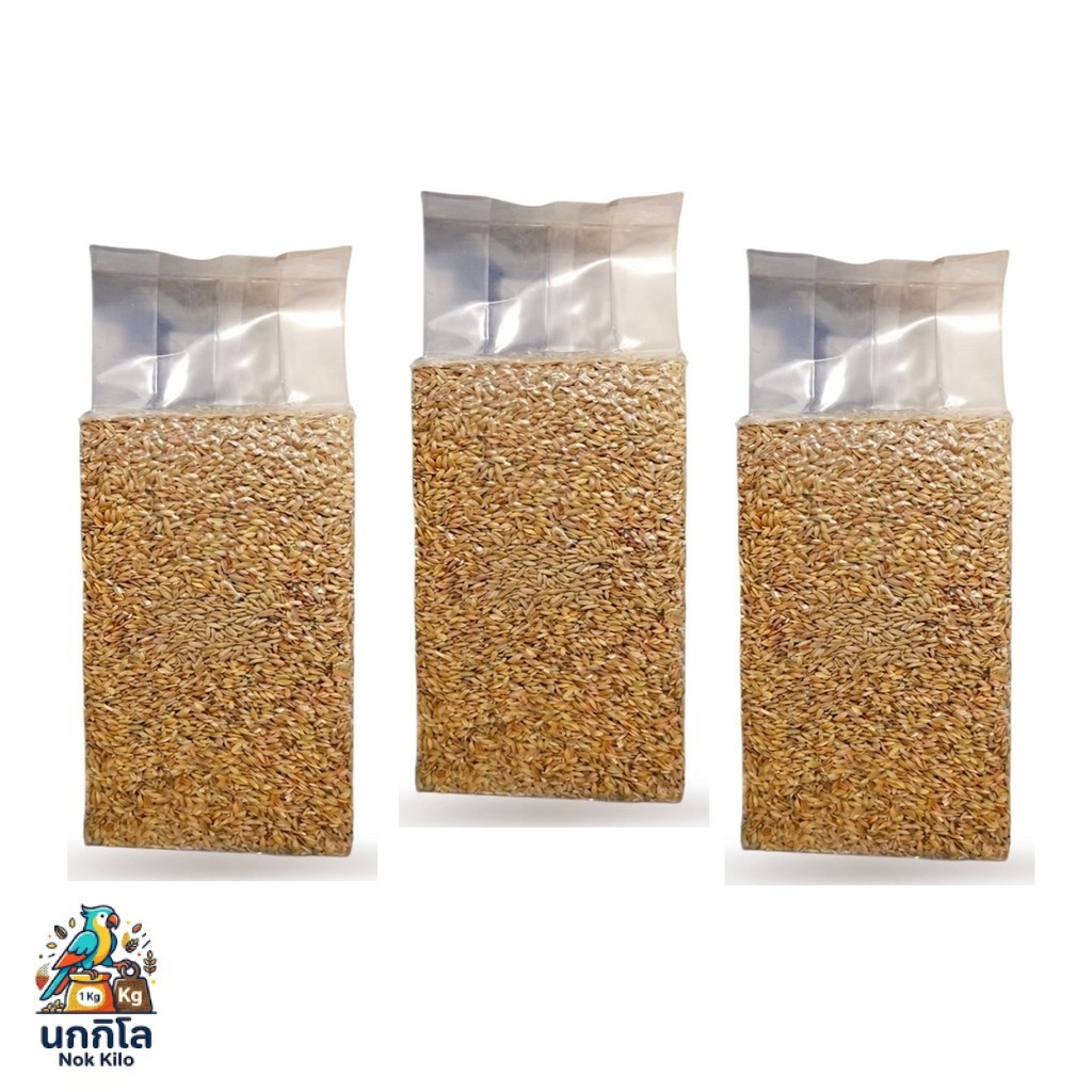 3 ถุง ข้าวเปลือกมะเขือ พรีเมียม สะอาด สูญญากาศ นกเขา นกพิราบ ไก่ชน Avin (1kg/ถุง)