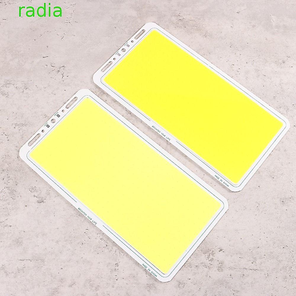 RADIANTZAP Camping น้ําท่วม,ชิป Strip แสงสีขาว COB LED แผง Light, Ultra-light 100W 12V Ultra Bright 