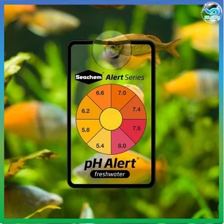 Seachem Alert แผ่นวัดค่า pH และ แอมโมเนีย ในตู้ปลา/ตู้ไม้น้ำ จากอเมริกา