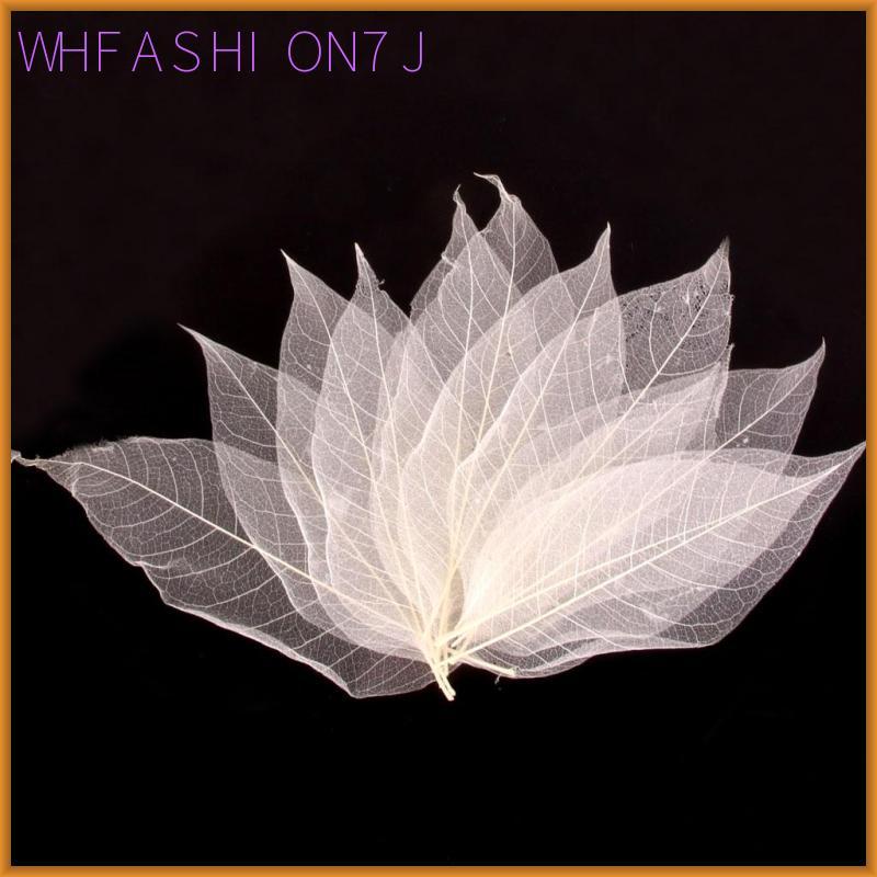 [whfashion7j] 50 ชิ้นธรรมชาติ Magnolia Skeleton Leaf Leaves สําหรับการ์ดทําสมุดภาพสีขาว