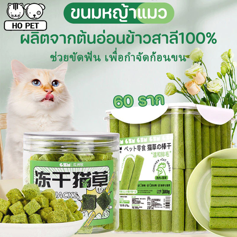 ขนมหญ้าแมว 60 ราก หญ้าแมวฟรีซดราย 150 กรัม ผลิตจากต้นอ่อนข้าวสาลี100% ช่วยขัดฟัน เพื่อกำจัดก้อนขน บรรจุในถังปิดผนึก