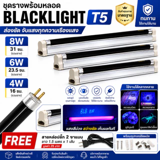 พร้อมใช้งาน รางพร้อมหลอด Blacklight T5 4W 6W 8W 220V ขนาด 16 - 31 ซม. พร้อมอุปกรณ์ยึดผนัง หลอดดักยุง สีดำ ตรวจ ธนบัตร