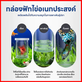 กล่องฟักไข่ปลาที่ลอยได้ กล่องคลอดปลา กล่องฟักลอย ปกป้องไข่ปลา เพิ่มอัตราการรอดชีวิตของปลา เสถียรไม่พลิกด้านง่าย