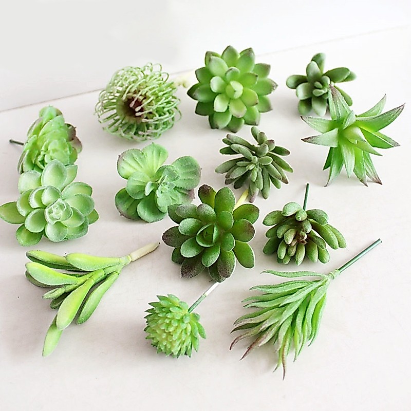 Vvidly Plastic- Succulent Plant Cactus Echeveria Flower Home Office Decor.