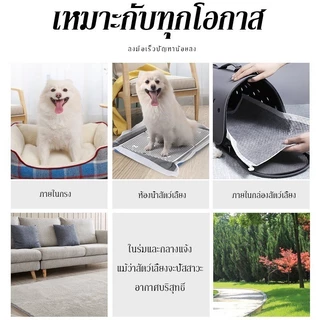 แผ่นรองฉี่สุนัข🐶ชาร์โคล(หนาขึ้น) รุ่นชาโคล แผ่นรองฉี่แมว ช่วยฝึกขับถ่าย การดูดซับน้ำ6ชั้น ระงับกลิ่นได้ดี