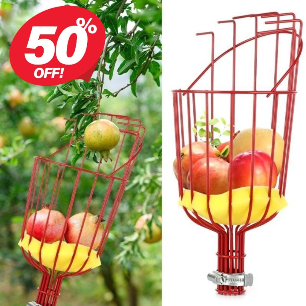 ผลไม้ Picker Telescopic Pole สูง-ระดับความสูง Plum Persimmon Loquat Harvester สแตนเลสขยาย Rod แบบพกพาพับ Orchard เครื่องมือจัดส่งฟรี