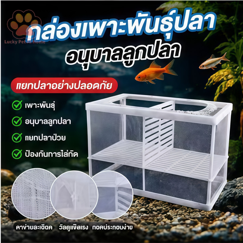 🐠กล่องตาข่ายแยกปลาลูกปลา ตาข่ายเเยกปลา กล่องแยกเลี้ยงปลา เพาะพันธุ์ปลา แยกฟักไข่ ทนทานใช้งานได้ดี