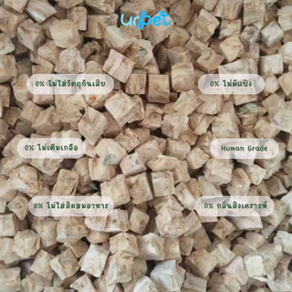 ปลาค็อด Freeze-Dried ฟรีซดราย สุนัขและแมว เกรดพรีเมียม 50g GUMMI BITES