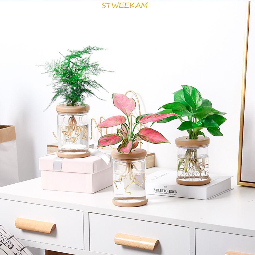 STWEEKAM ตกแต่งบ้านแฟชั่น Little Fresh Aquatic Plant เลียนแบบแก้ววัสดุเรซินโปร่งใสดอกไม้ Planter