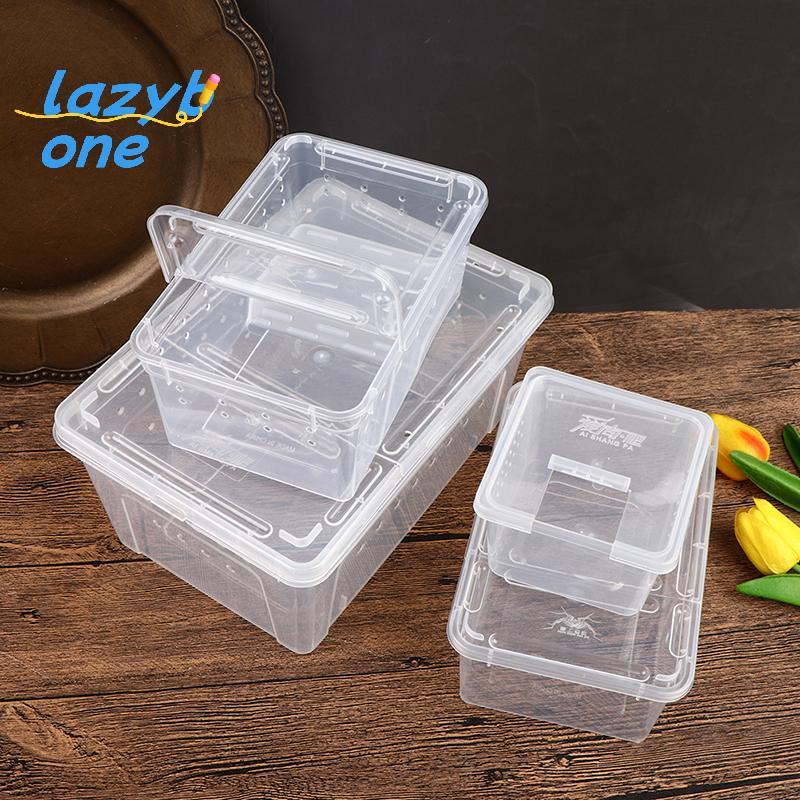 LZ-t] กล่องสัตว์เลื้อยคลาน Mantis กระโดดแมงมุมหนอนไหมกล่องหลังกล่องหลังสัตว์เลื้อยคลาน [ใหม่]