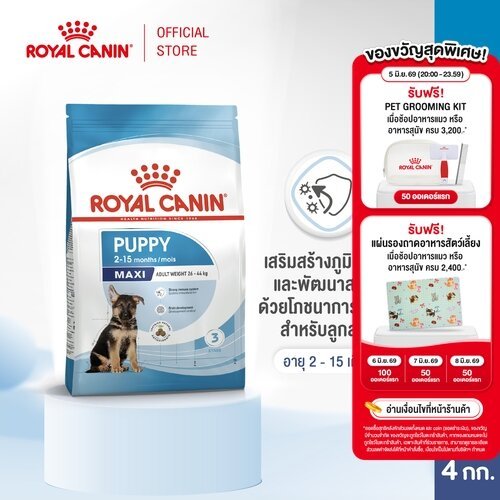 Royal Canin Maxi Puppy 4kg อาหารเม็ดลูกสุนัข พันธุ์ใหญ่ อายุ 2-15 เดือน (Dry Dog Food, โรยัล คานิน)