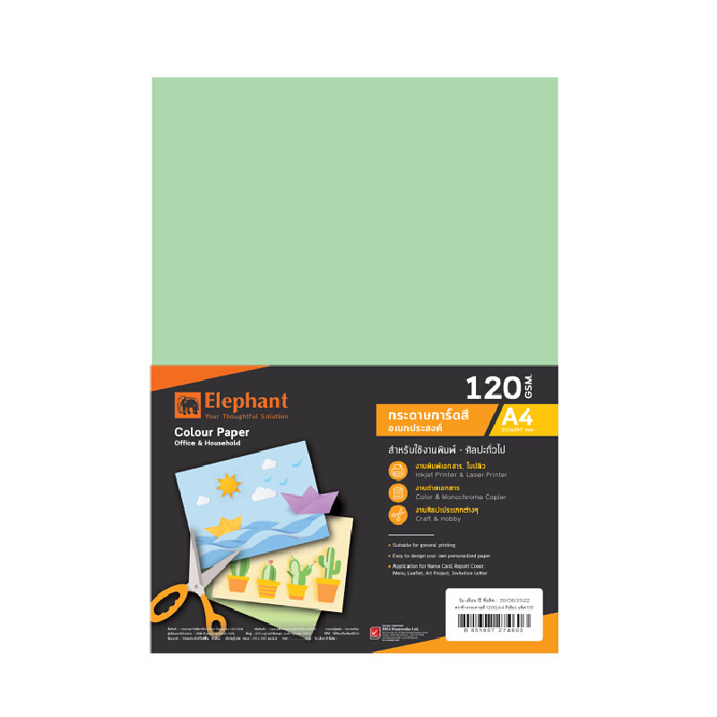 ELEPHANT กระดาษการ์ดสี สีเขียว A4 120 แกรม 100 แผ่น/แพ็ค