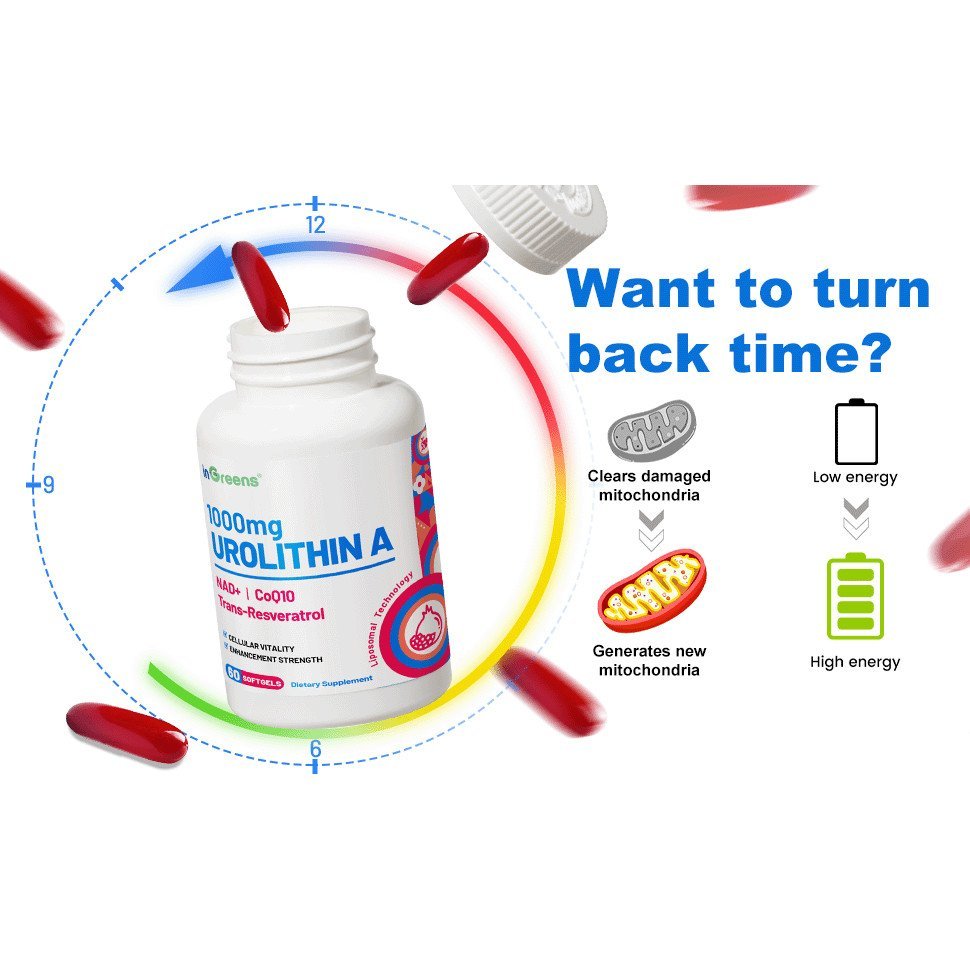 InGreens Urolithin A 1000mg พร้อม NAD+ 300mg รูปที่ 6