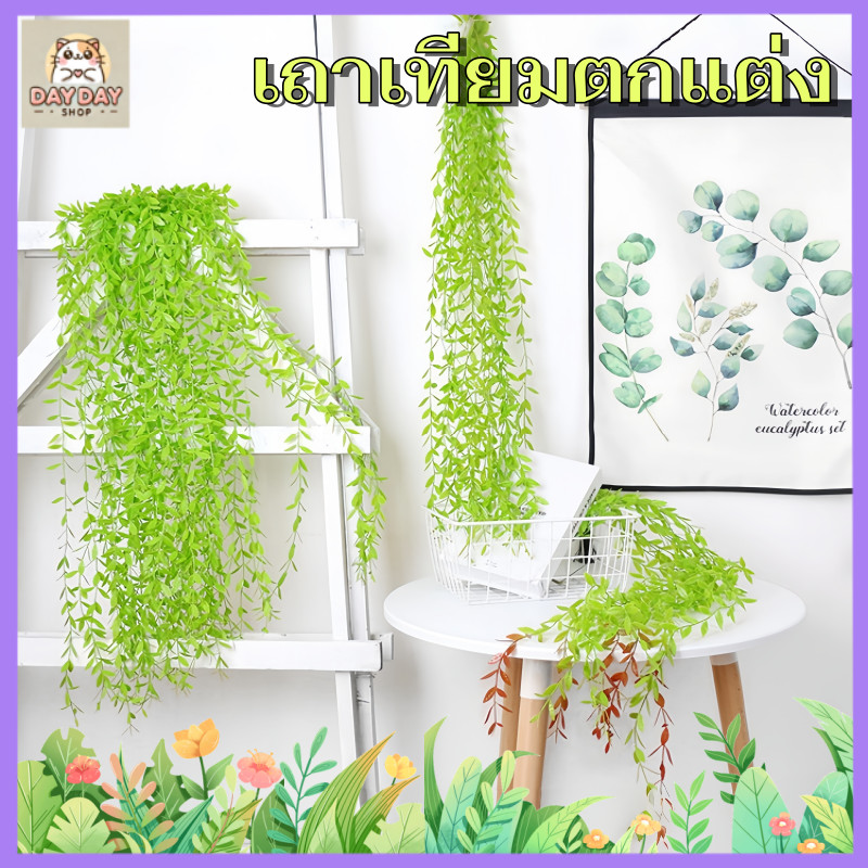 สต็อกท้องถิ่น เถาวัลย์ปลอม หญ้าหนวดมังกร ต้นเดฟ เถาวิลโล่ว์ หวาย ยูคา แขวนผนัง เพดาน แต่งบ้าน
