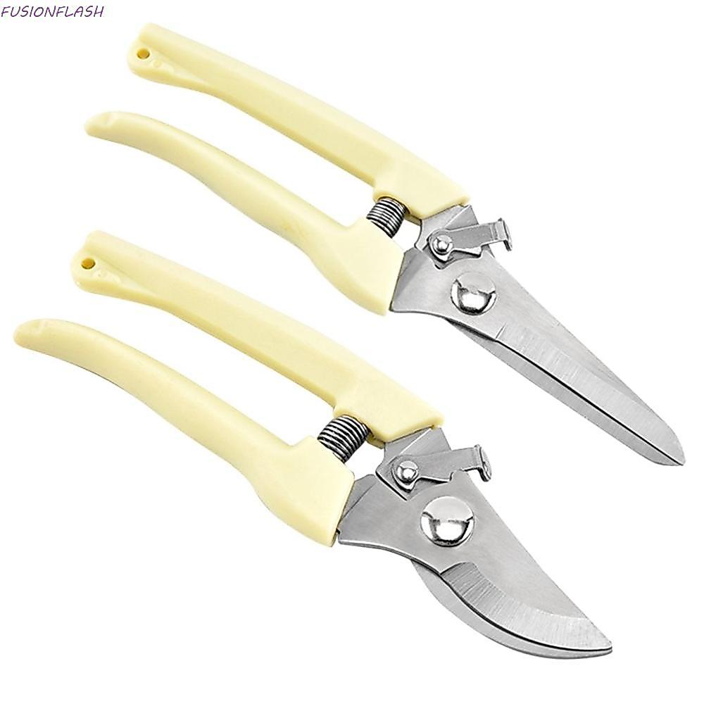 FUSIONFLASH Grafting เครื่องมือสีเบจ 1 ชิ้นตรง/หัวงอสแตนเลส PP Handle สบาย Grip สาขากรรไกร