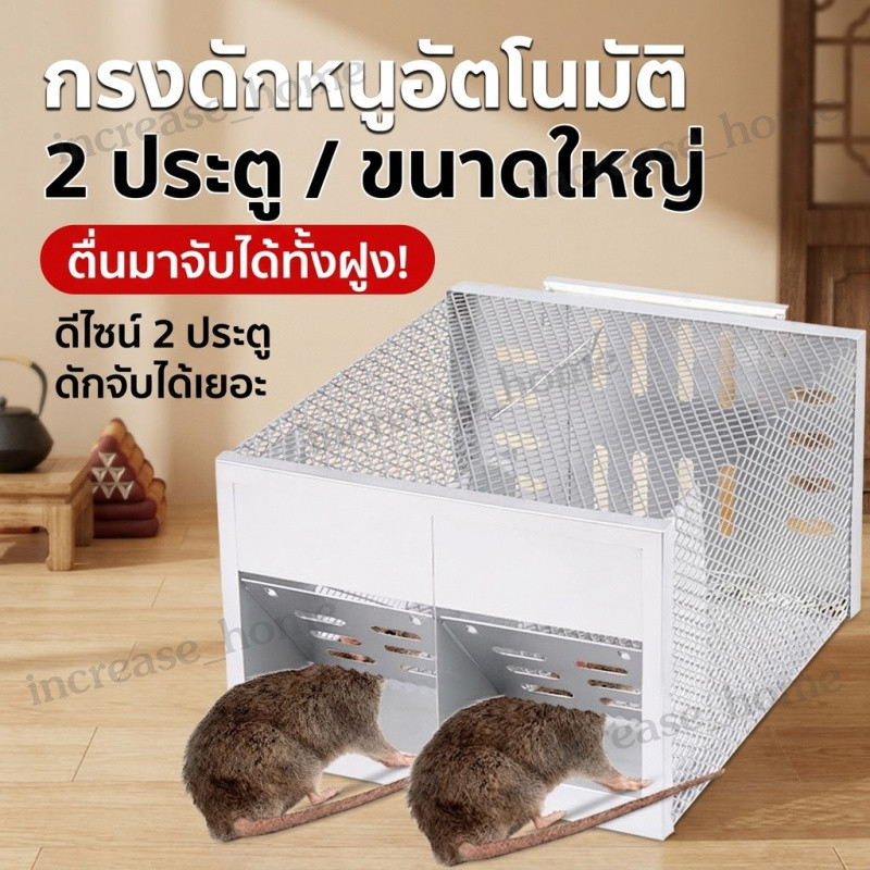 เรียบง่าย กับดักหนู กับดักหนูต่อเนื่อง ใช้ได้จริง ประสิทธิภาพสูงในก ที่ดักหนู กับดักหนู ทนทาน กรงดักหนู ( 2ประตู）