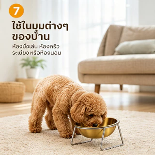 ชามแมวสแตนเลส ชามอาหารสุนัขยกสูง ชามอาหารแมว สแตนเลส การสนับสนุนที่มั่นคง ทำความสะอาดง่าย ﻿
