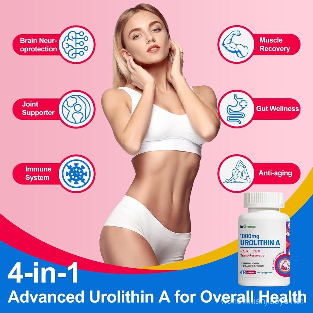 InGreens Urolithin A 1000mg พร้อม NAD+ 300mg รูปที่ 3