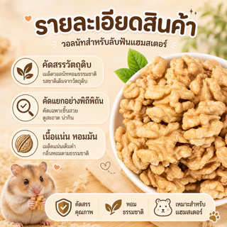 [Exonoya] วอลนัทธรรมชาติ 100% (Walnut) ของเล่นลับฟันชั้นดี ลูกบอลธรรมชาติ แฮมสเตอร์ กระรอก ชูการ์