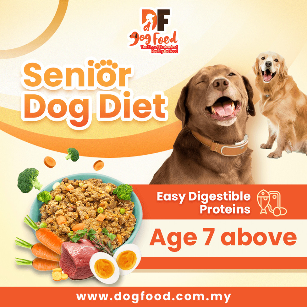 DF Dog Food - Senior Dog Food - Wet Food (Made in MY) 【老狗配方】| Fresh Dog Food