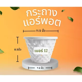 กระถางแอร์พอต Air Pot เบอร์ 12 กระถางมีรู เร่งราก สีดำ / สีขาว