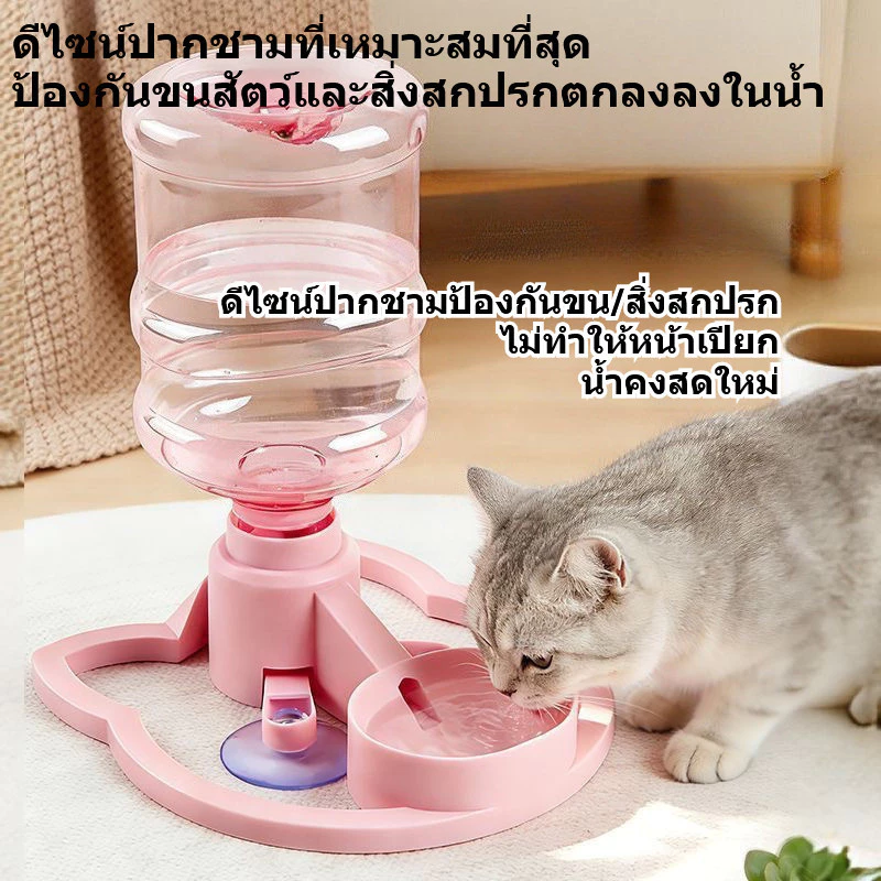 ที่ให้น้ำอัตโนมัติ สินค้าพร้อมส่ง สัตว์เลี้ยงดื่มน้ำชาม รองรับขวดหลายชนิด แผ่นซิลิโคนกันลื่น สะอาดง่าย ถอดง่าย thumbnail 5