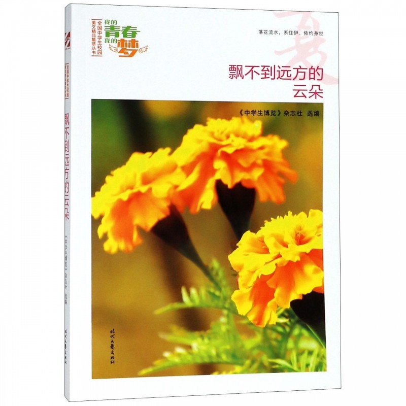 ((หนังสือของแท้ dswh): My Youth My Dream: Summer: Clouds ที่ไม่ลอยจาก Afar 978753