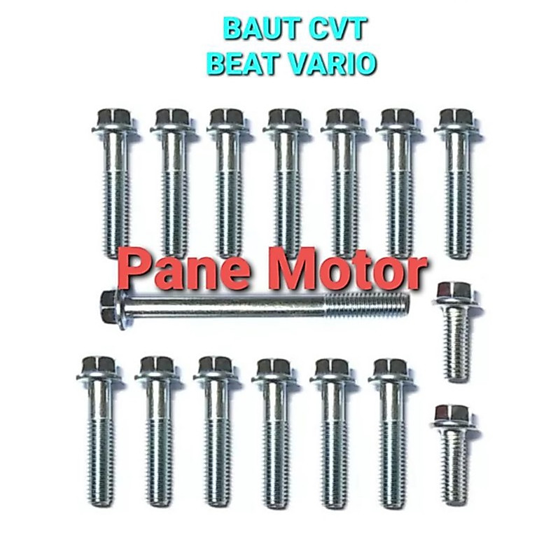 CVT CRANK BLOCK BOLT M6 KEY T8 (BOLT 10) BEAT OLD SCOOPY SPACY VARIO OLD TEKNO CBS BEAT FI SCOOPY F1