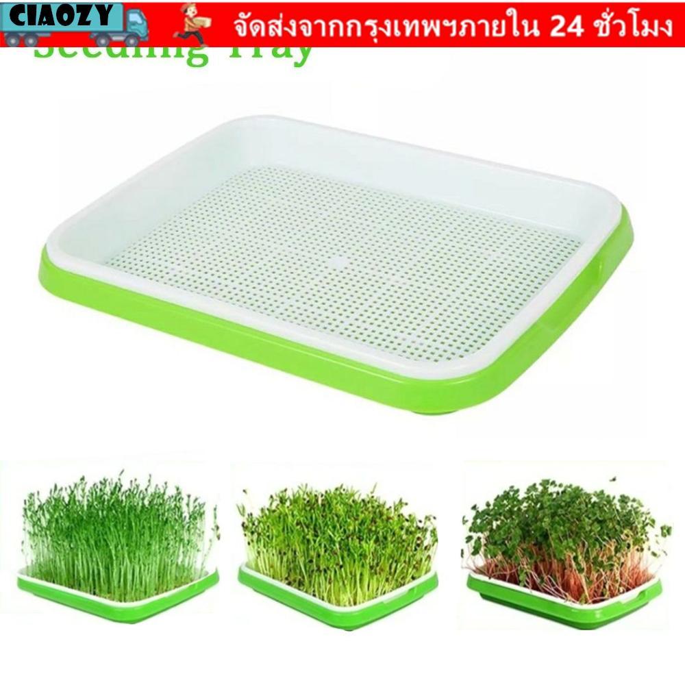 CIAOZY Grow Nursery Pots อุปกรณ์ทําสวนกระดาษเนอสเซอรี่กล่องพืชการเพาะปลูกแบบไม่ใช้ดิน