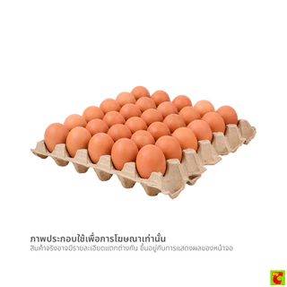วี อาร์ เฟร็ช ไข่ไก่คละขนาด 90 ฟอง