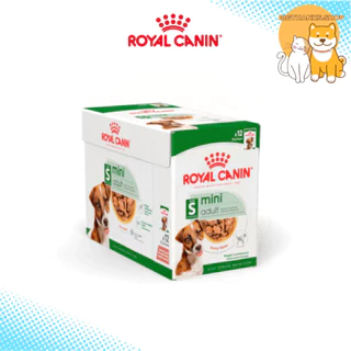 [ยกกล่อง 12 ซอง] Royal canin Mini Adult pouch สุนัขโตพันธ์เล็ก แบบชิ้นเนื้อในซอสเกรวี่ [85g/ซอง]